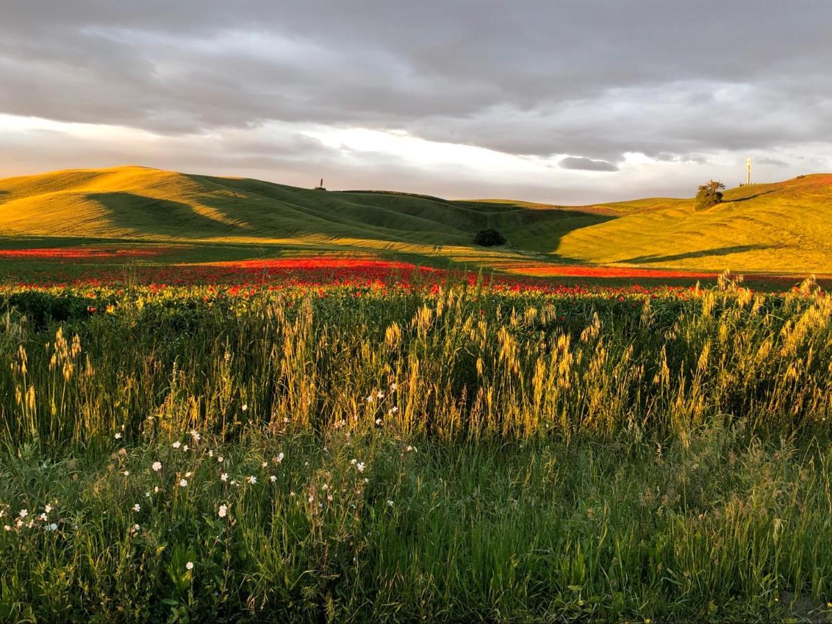 Tuscany Charme Boutique House Монтерони-д'Арбия Экстерьер фото